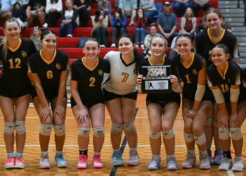 Chuckey-Doak Settles For 2nd In District 1-AA Tournament