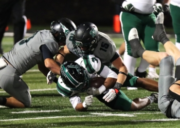 Familiar Foe, Same Result: Devils Swat Hornets From Playoffs