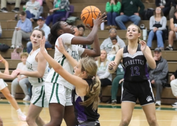 Lady Devils Denied Comeback Against Bearettes