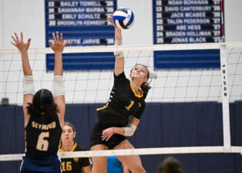 Chuckey-Doak’s Jacey Taylor Named All-State By TSWA
