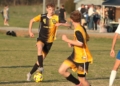 Hahnlen Leads The Way In Chuckey-Doak’s 9-0 Win Over Cosby