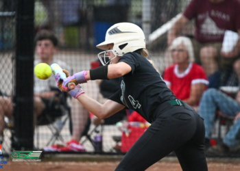 PHOTO GALLERY: North Greene vs McEwen State Softball 5-20-26