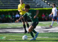 Greeneville Falls To Betsy 3-1 In Region 1-AA Title Game