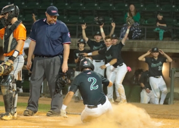 Harmon’s No-Hitter Leaves No Doubt as Greene Devils Advance